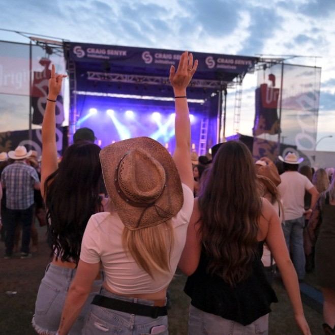 Crowd at outdoor concert with three people in foreground raising arms toward stage