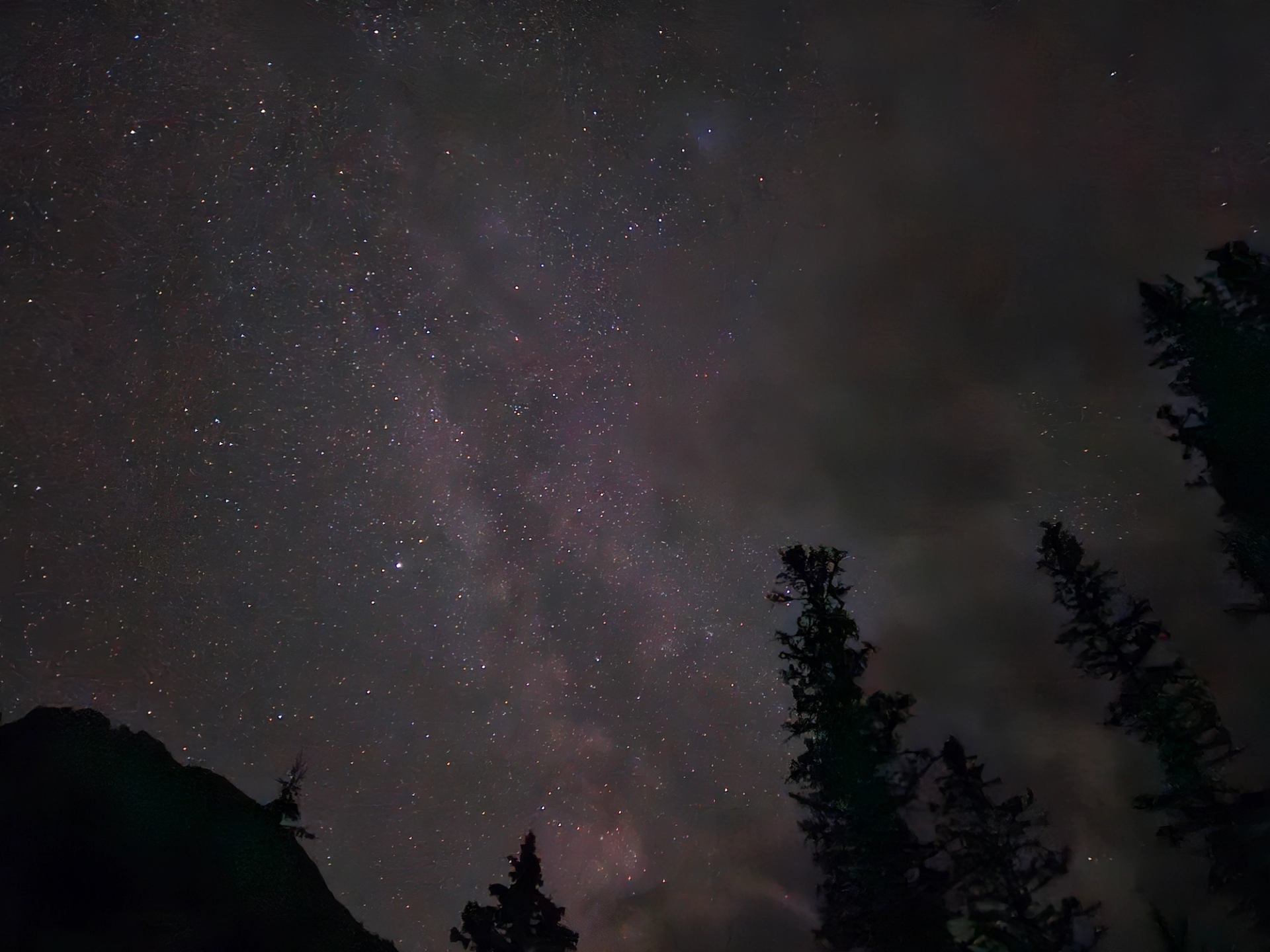 A starry night sky above silhouetted trees in the mountains.