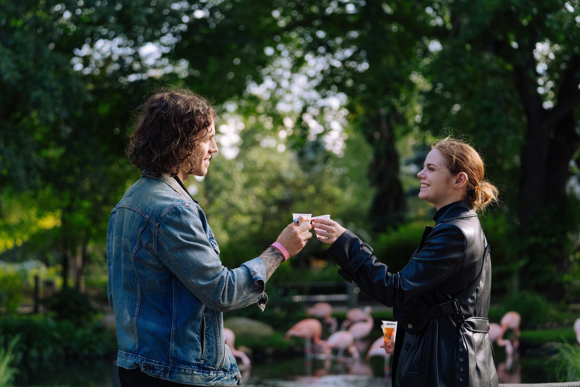 Two people clink small cups in a park, flamingos and trees in background.