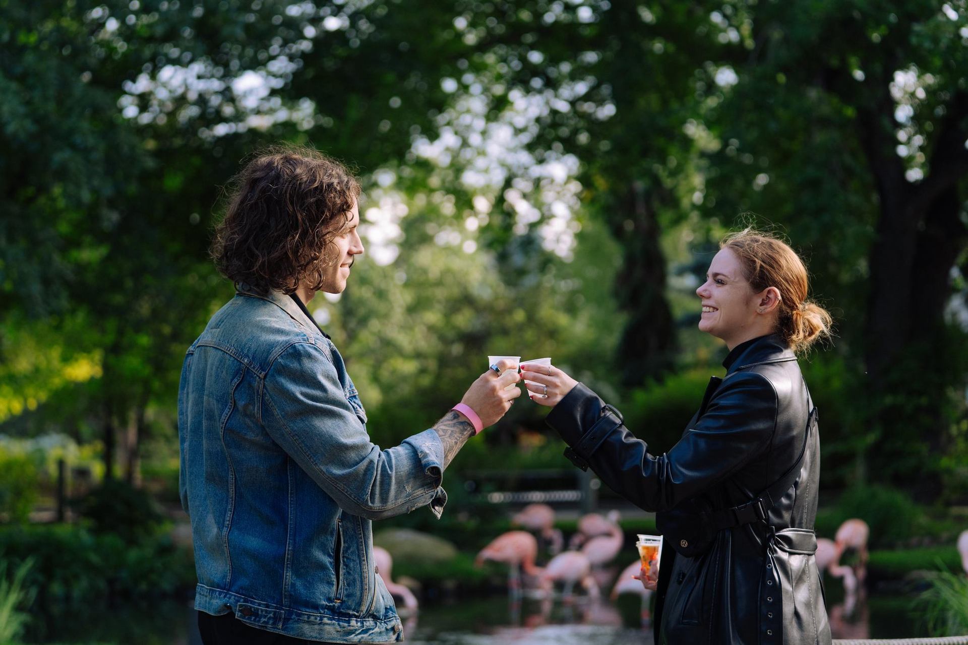 Two people clink small cups in a park, flamingos and trees in background.