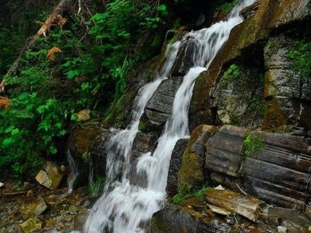 Small waterfall flowing over layered rocks surrounded by lush green foliage.