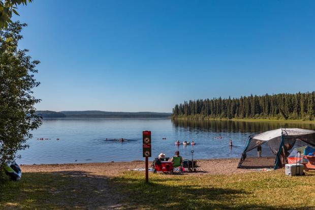 A beach at Musreau Lake Campground.