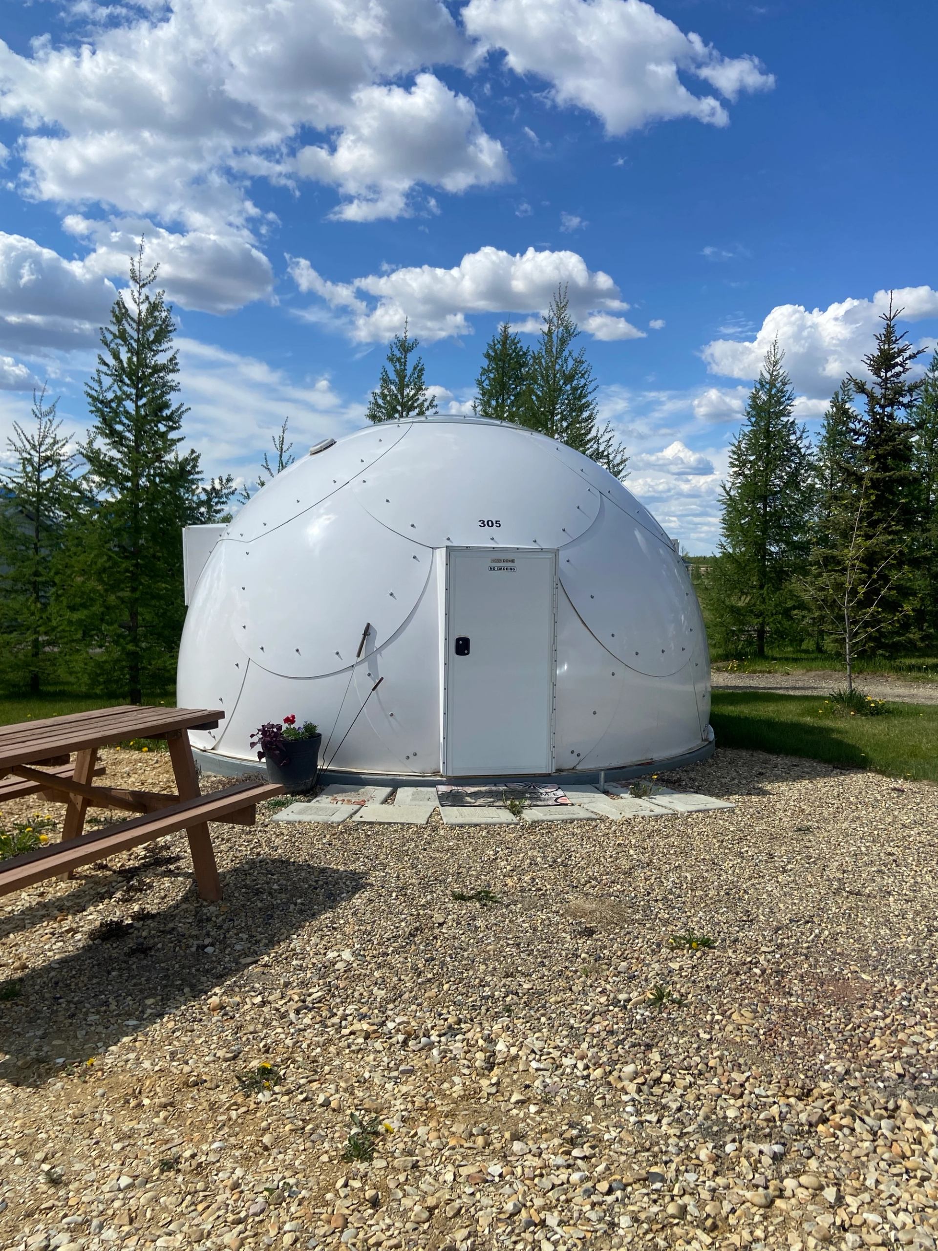 White glamping dome with picnic table and potted plant in outdoor setting.