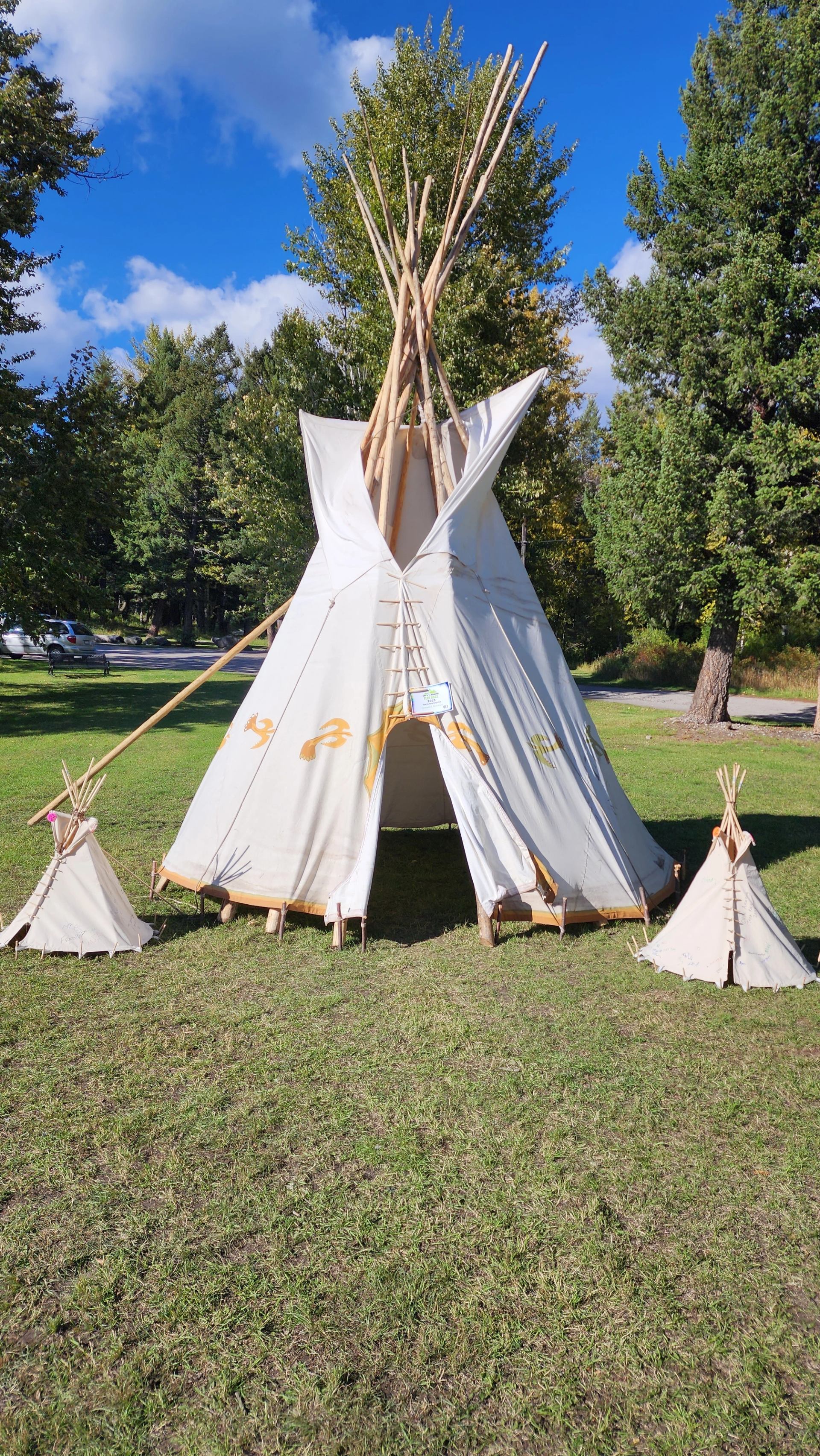 White tipi tent with wooden poles, surrounded by trees and a grassy lawn under blue sky.