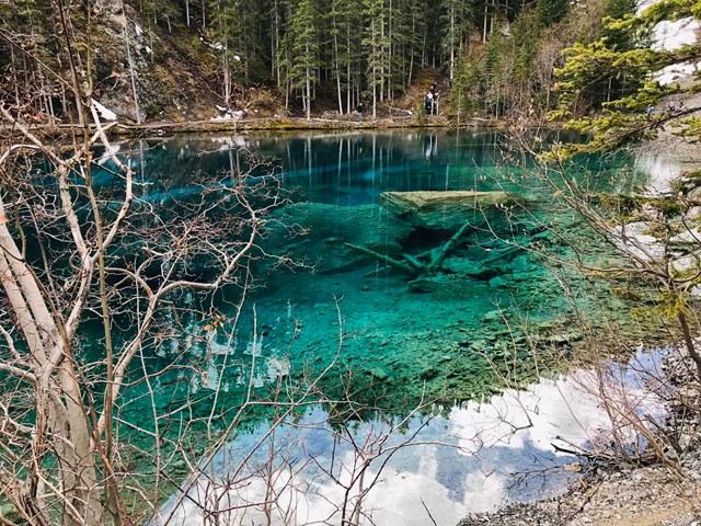 Turquoise pool with submerged logs, forest shoreline and bare branches in foreground.