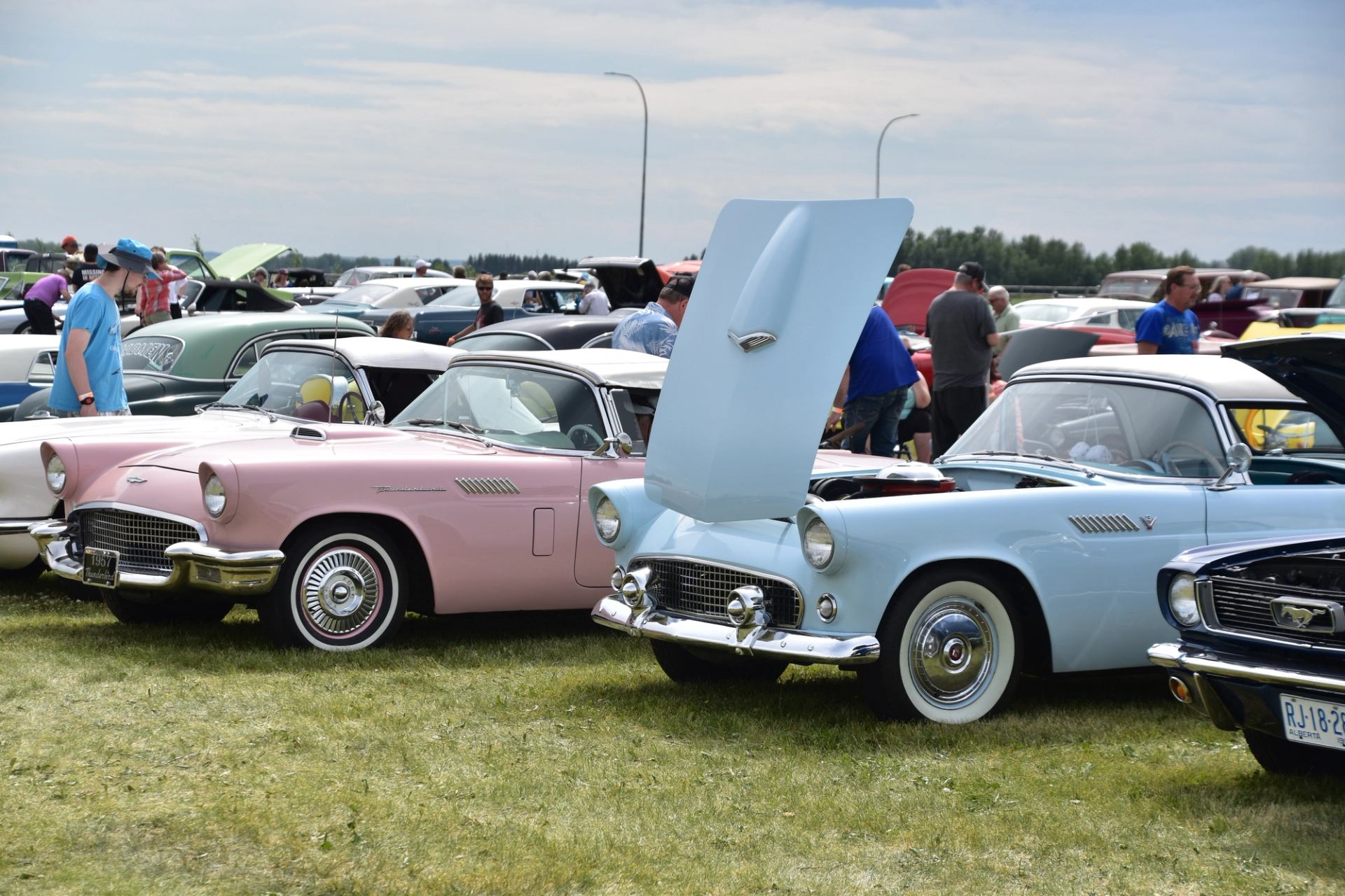 Light blue and pink classic convertibles displayed on the grass.