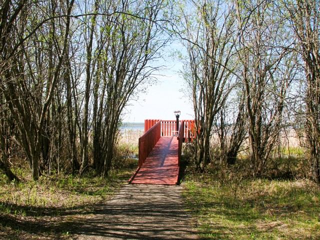 A viewing platform looking out over Winagami Lake.