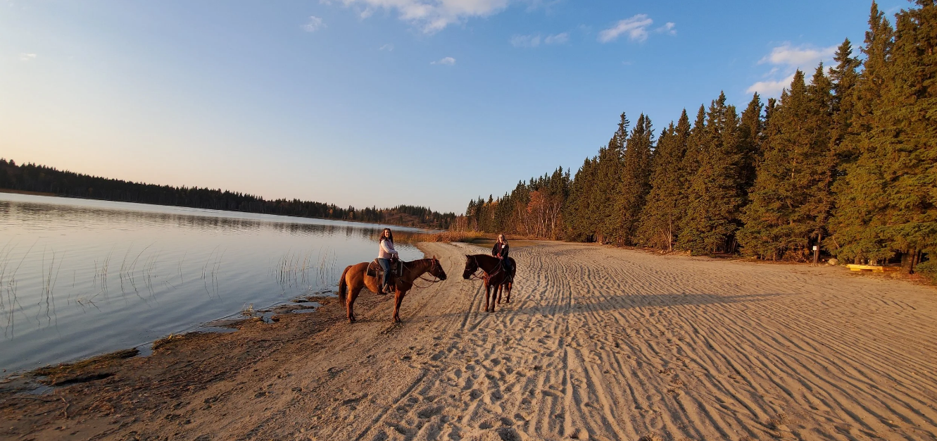 Horseback riders pause on a sandy lakeshore beside a dense evergreen forest.
