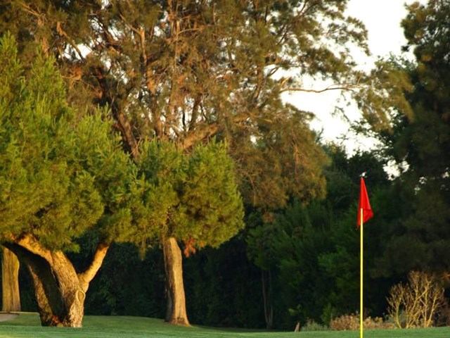 Smoky River Golf Course green with red flag and lush trees.
