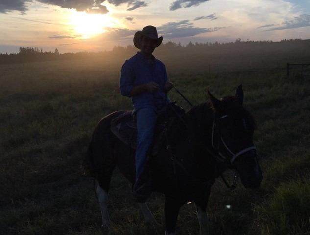 Horseback rider on a dark horse in a grassy field at sunset with rural hills behind.