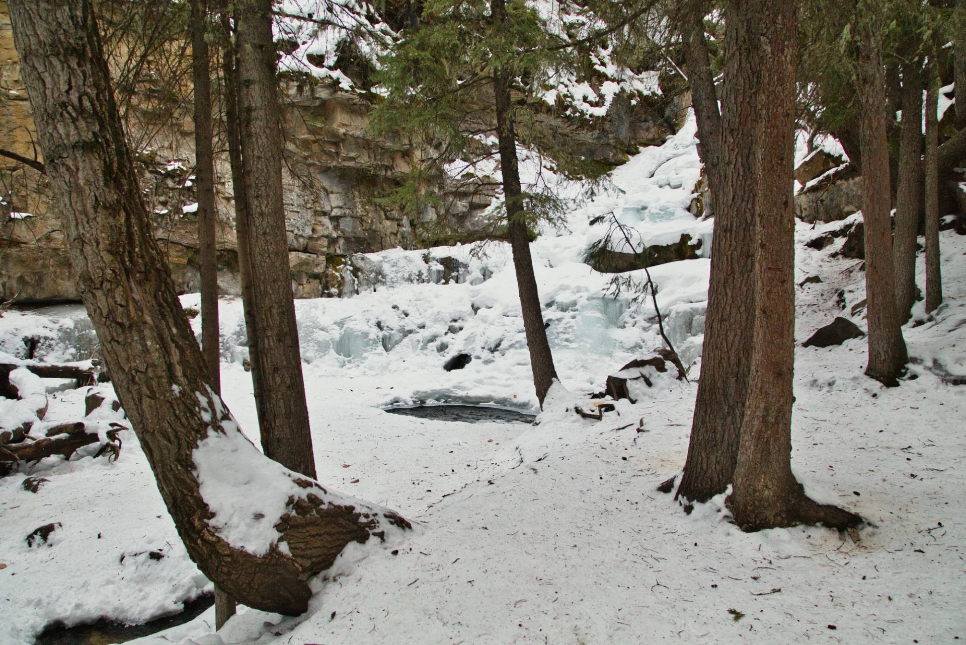 Snow-covered trail with trees and a frozen waterfall in the background at Troll Falls Trail.