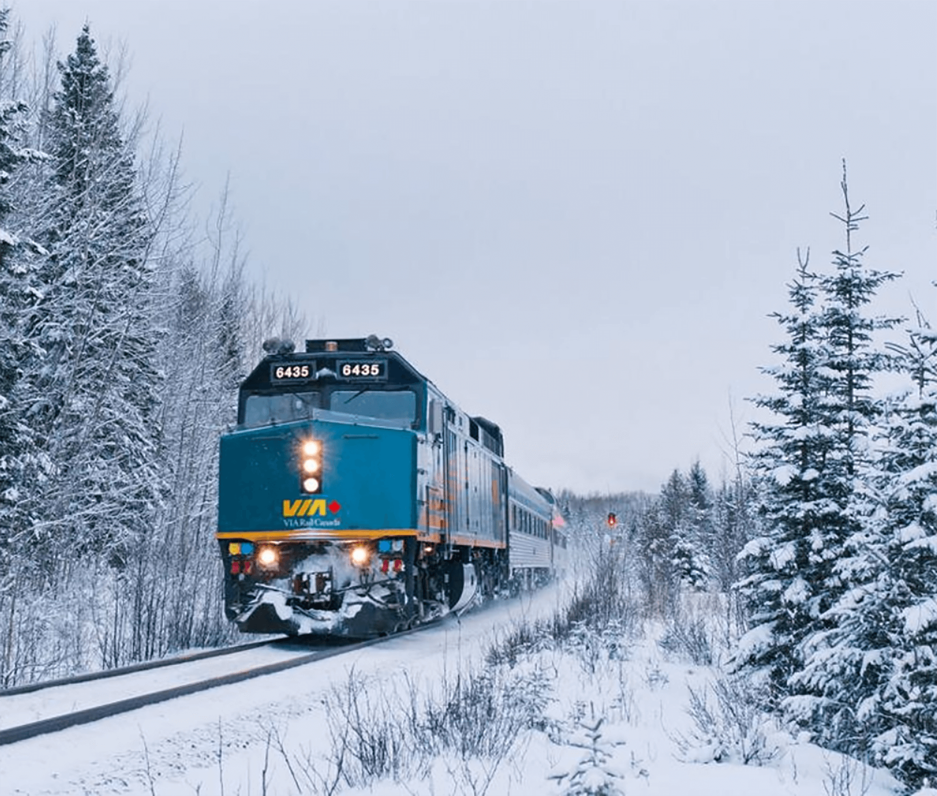 A blue VIA Rail Canada train travels through a snowy landscape with pine trees.
