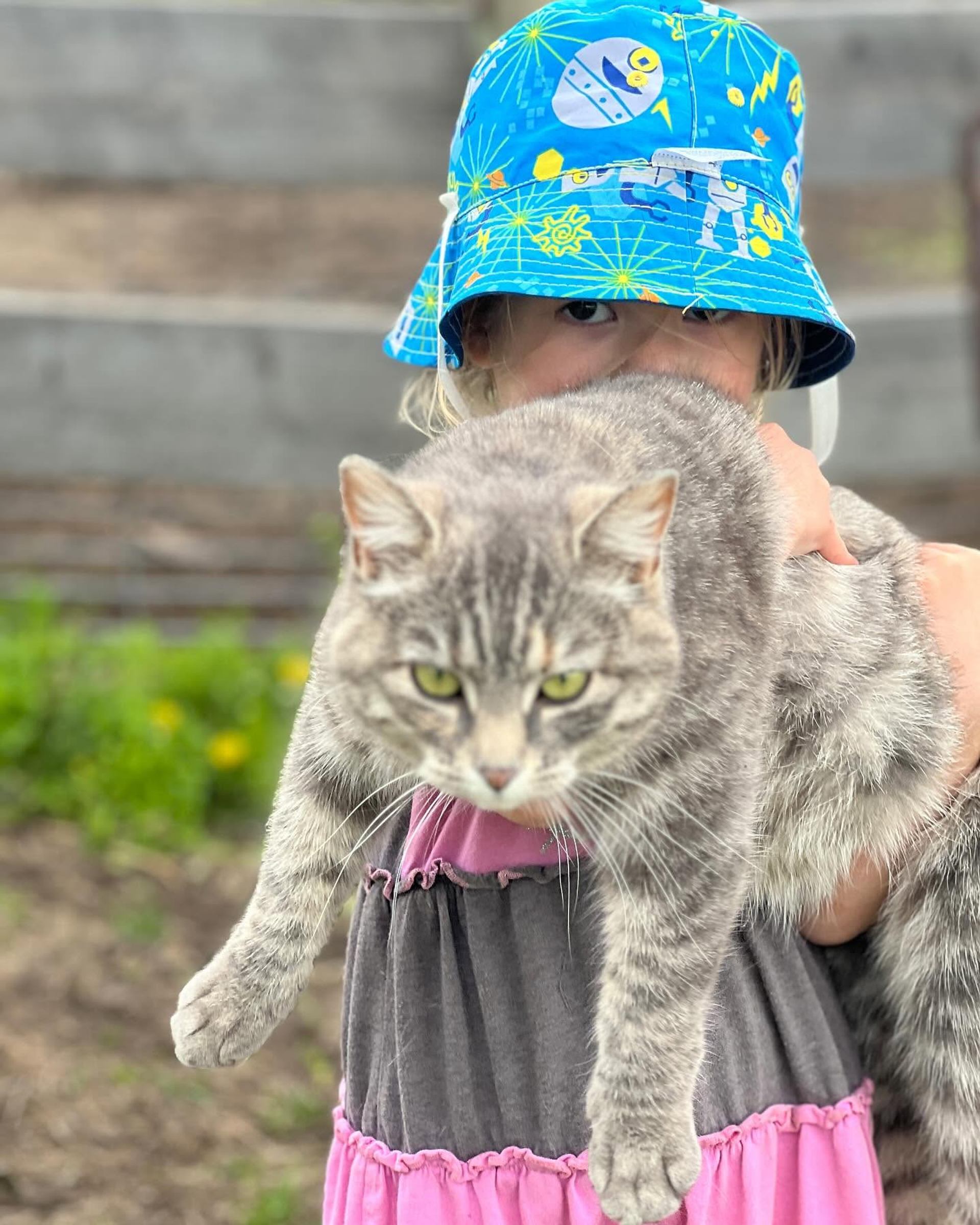 Child in blue patterned sun hat holding large grey tabby cat outdoors.