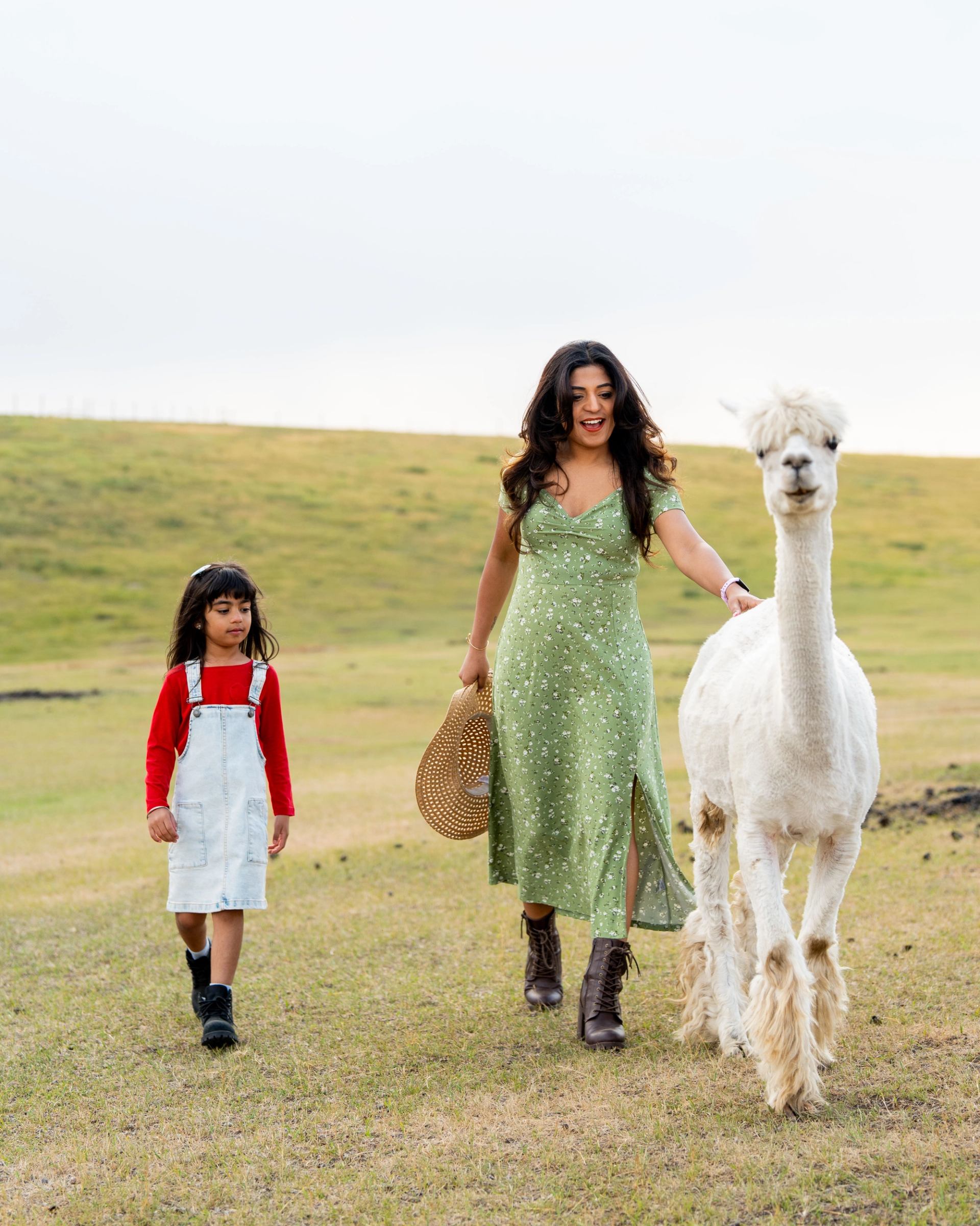 Woman walking with a young girl and a white alpaca through an open field at Kirk’s Alpaca Farm.