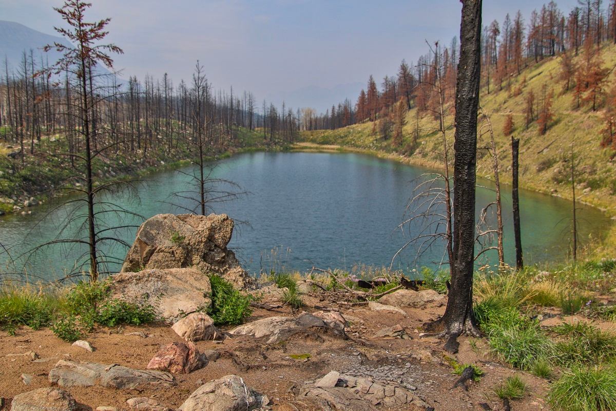 Small turquoise lake surrounded by rocky shore and hills with charred, leafless trees.