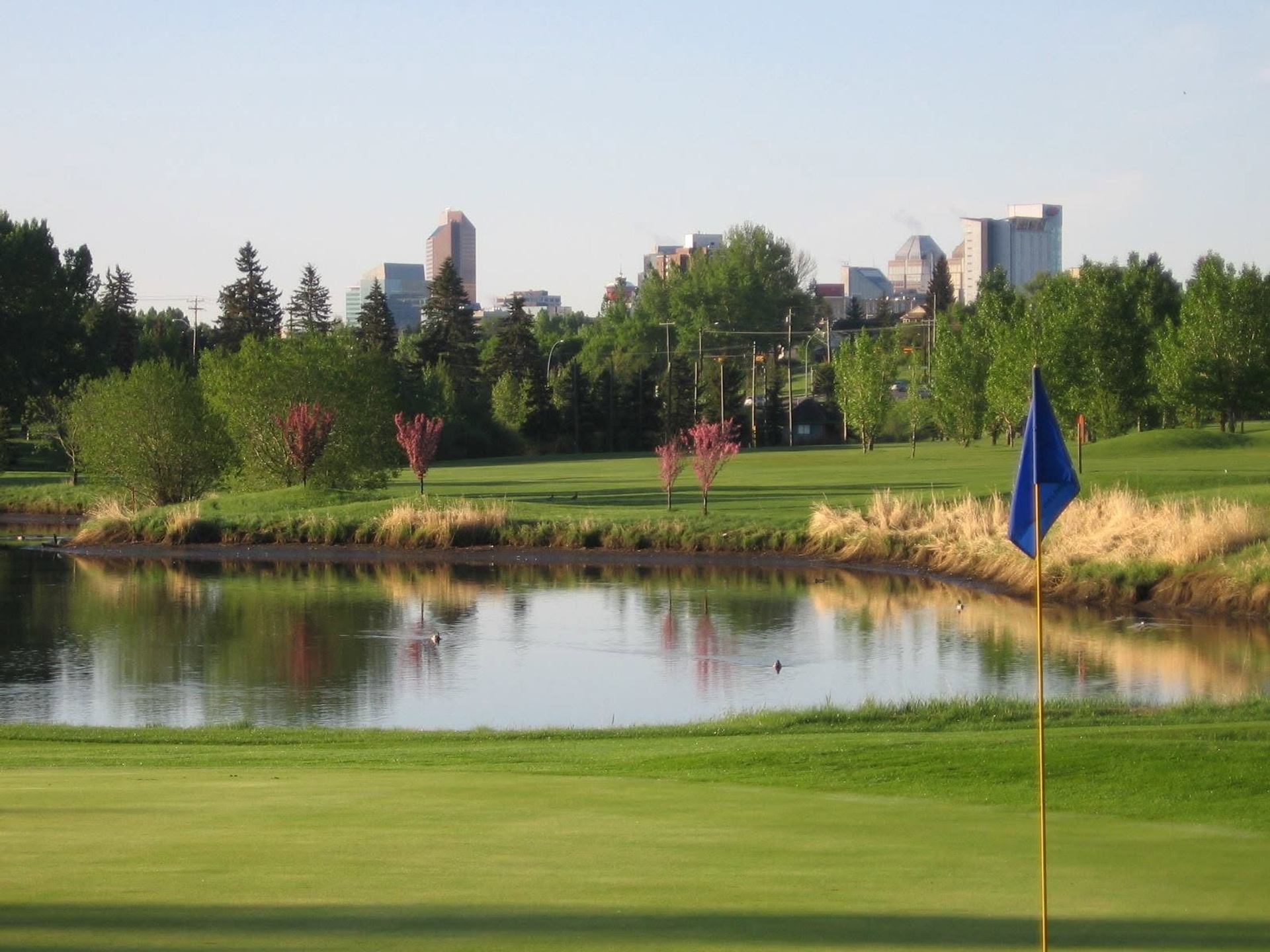A golf green and blue flag sit beside a calm pond with trees and a distant city skyline.