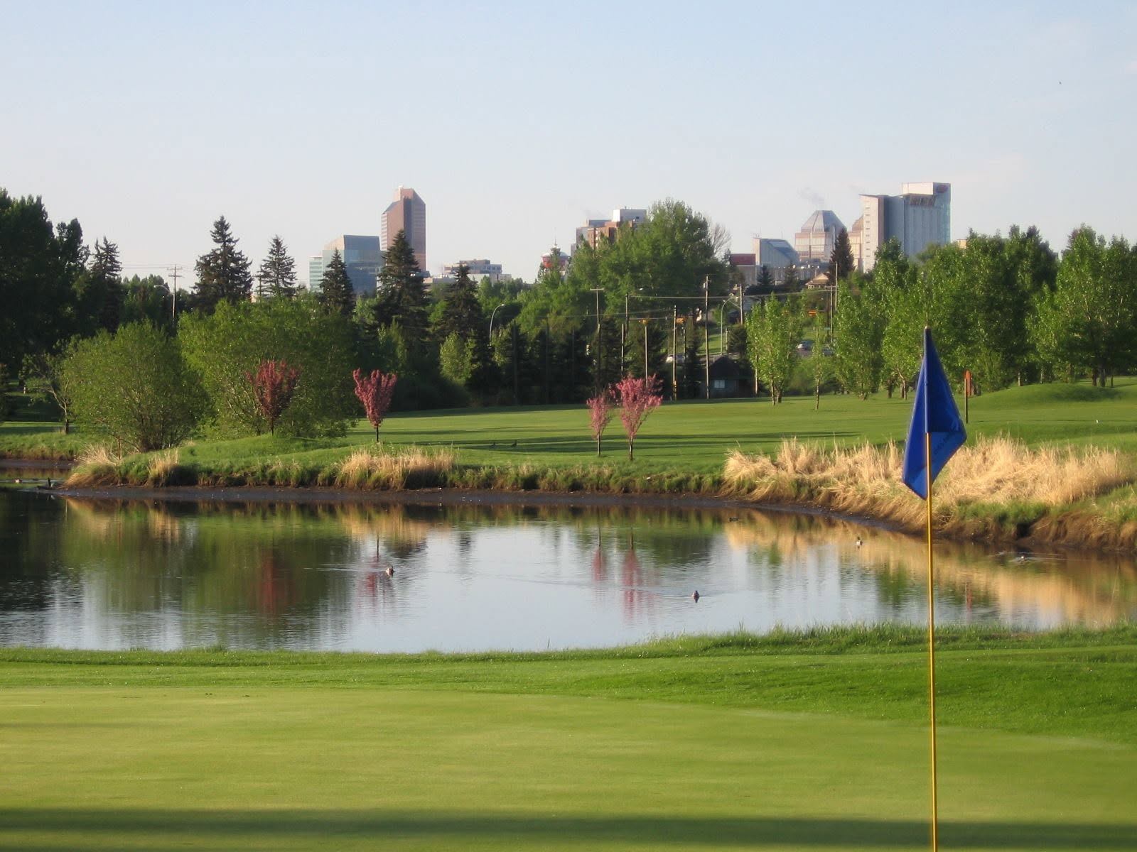 A golf green and blue flag sit beside a calm pond with trees and a distant city skyline.