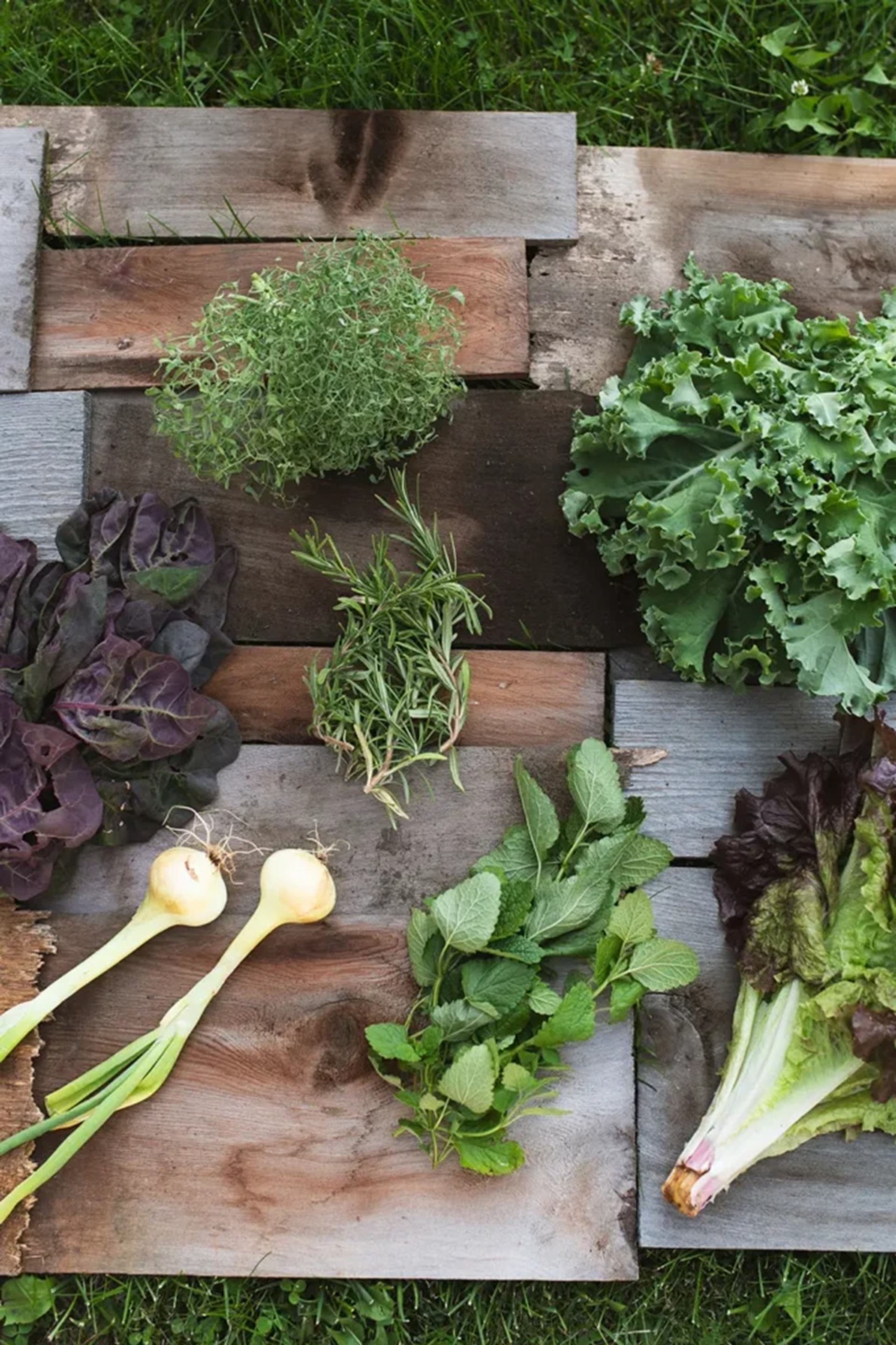 Fresh leafy greens, herbs and spring onions arranged on rustic wooden boards outdoors.