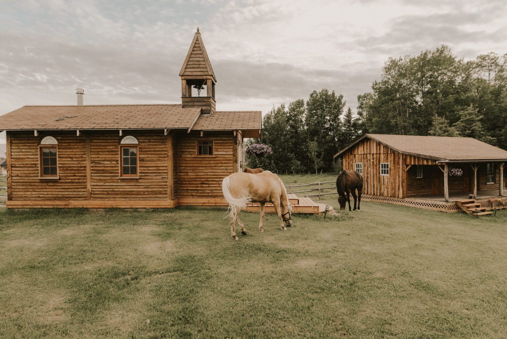 Horses grazing near rustic cabins and chapel at Cattle View Ranch in a peaceful rural setting.