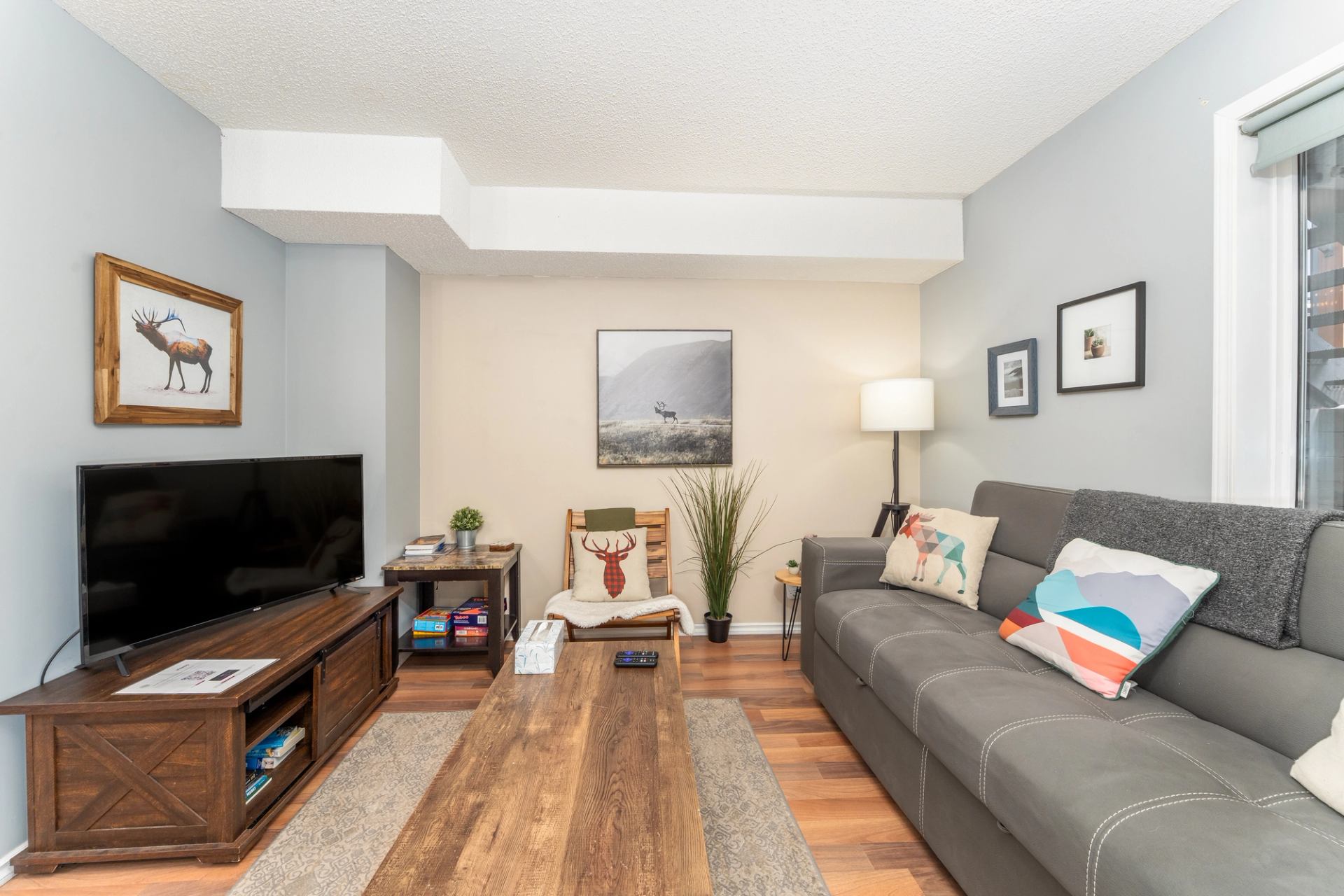 Living room with grey sofa, wooden coffee table, TV stand and framed animal art.