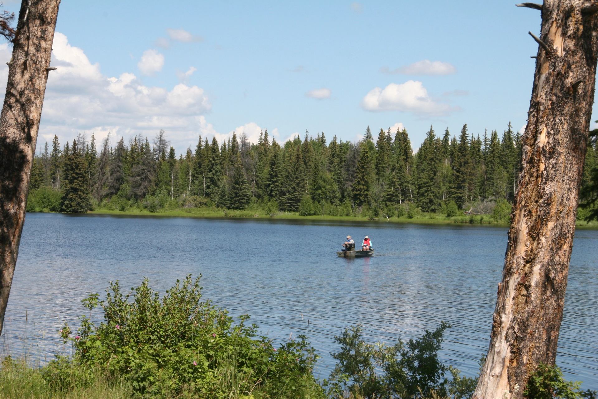 Boat on calm lake framed by trees under a partly cloudy sky.