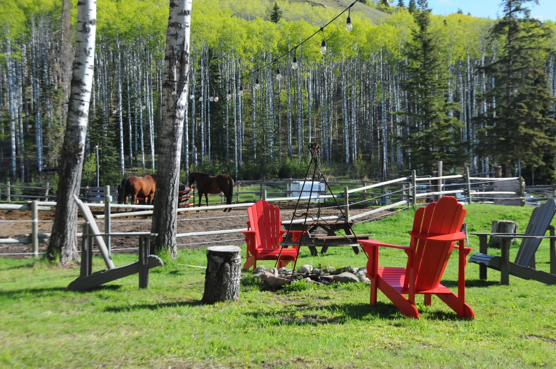 Red Adirondack chairs around firepit with horses in fenced paddock and tall trees.