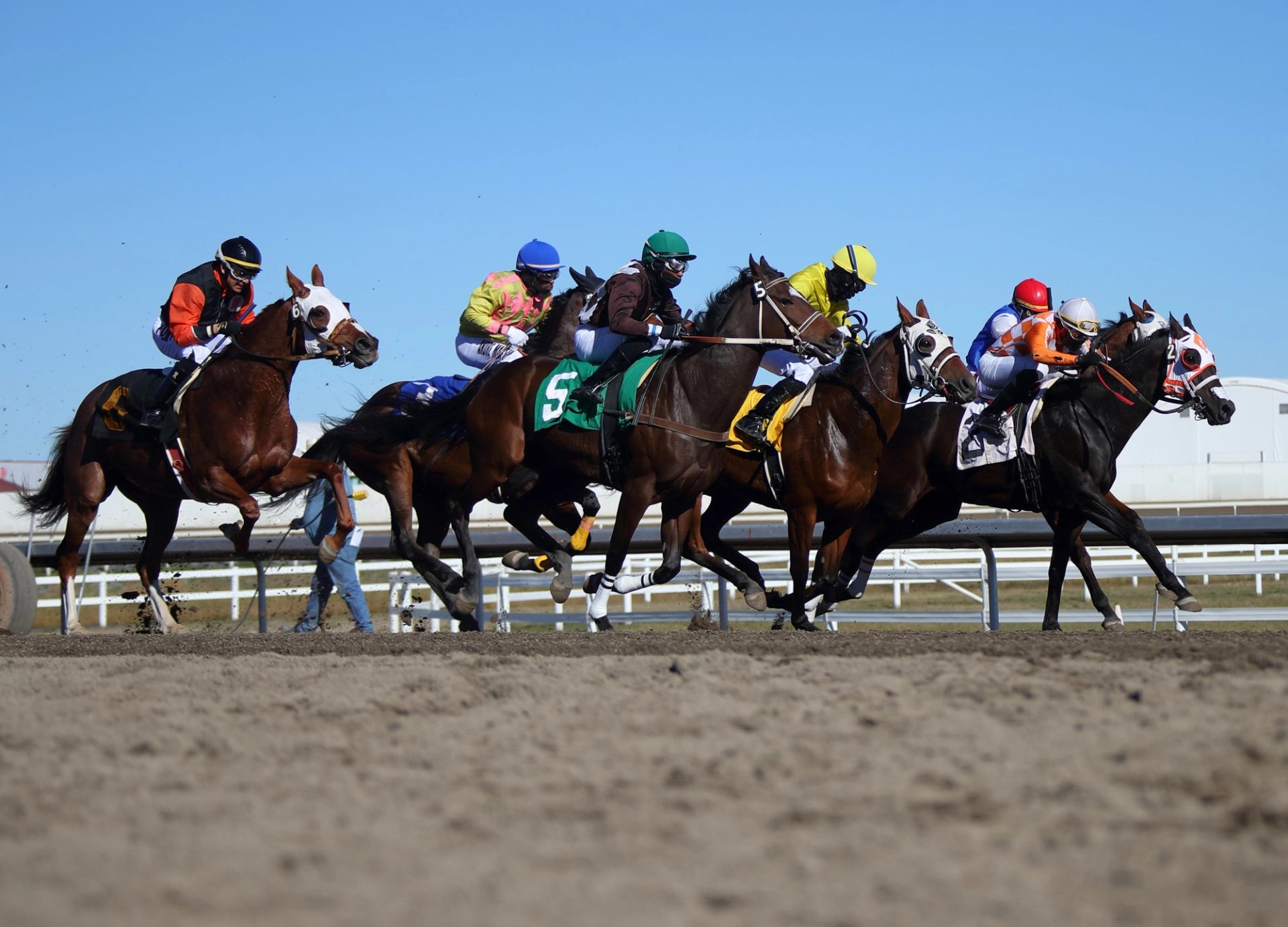 Horses and jockeys race down the dirt track under a clear blue sky.