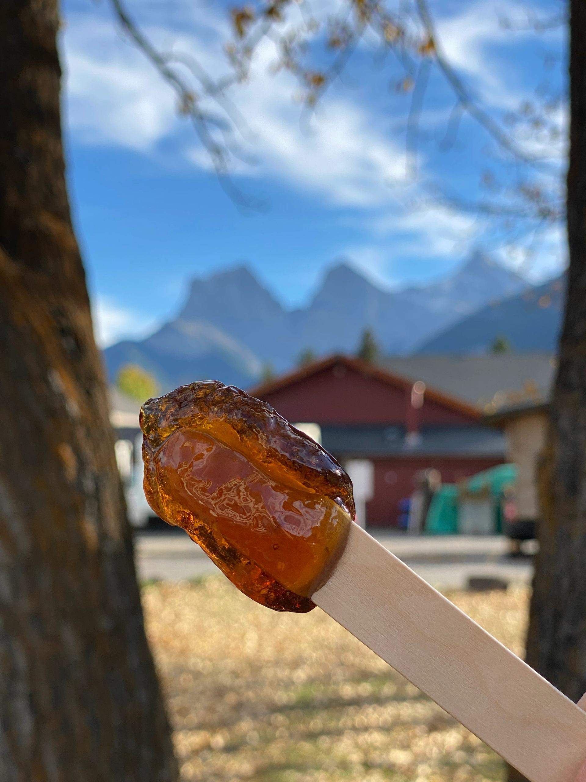 A close-up of maple taffy on a wooden stick held outdoors, with a scenic background of mountains, trees, and buildings under a blue sky.