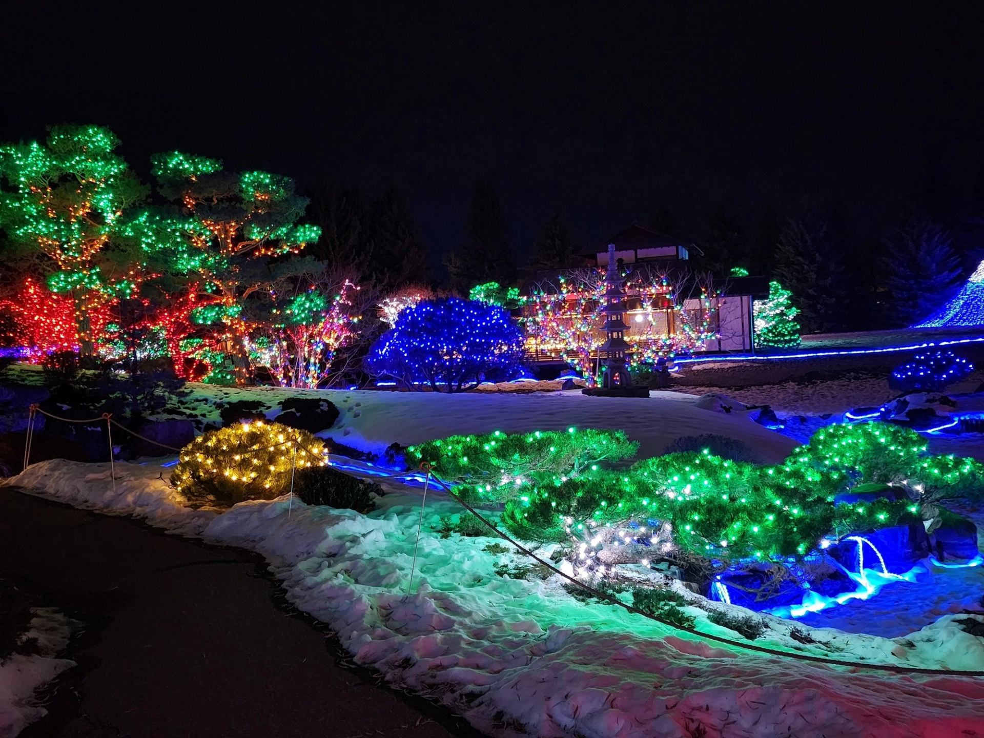Snowy Japanese garden glowing with multicolored lights at Nikka Yuko Winter Light Festival.
