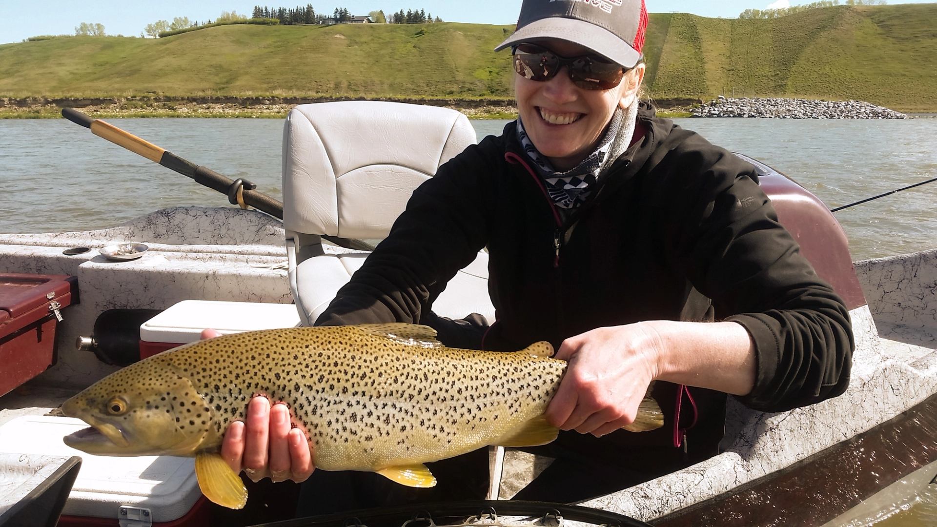 A large spotted fish is held from inside a boat.