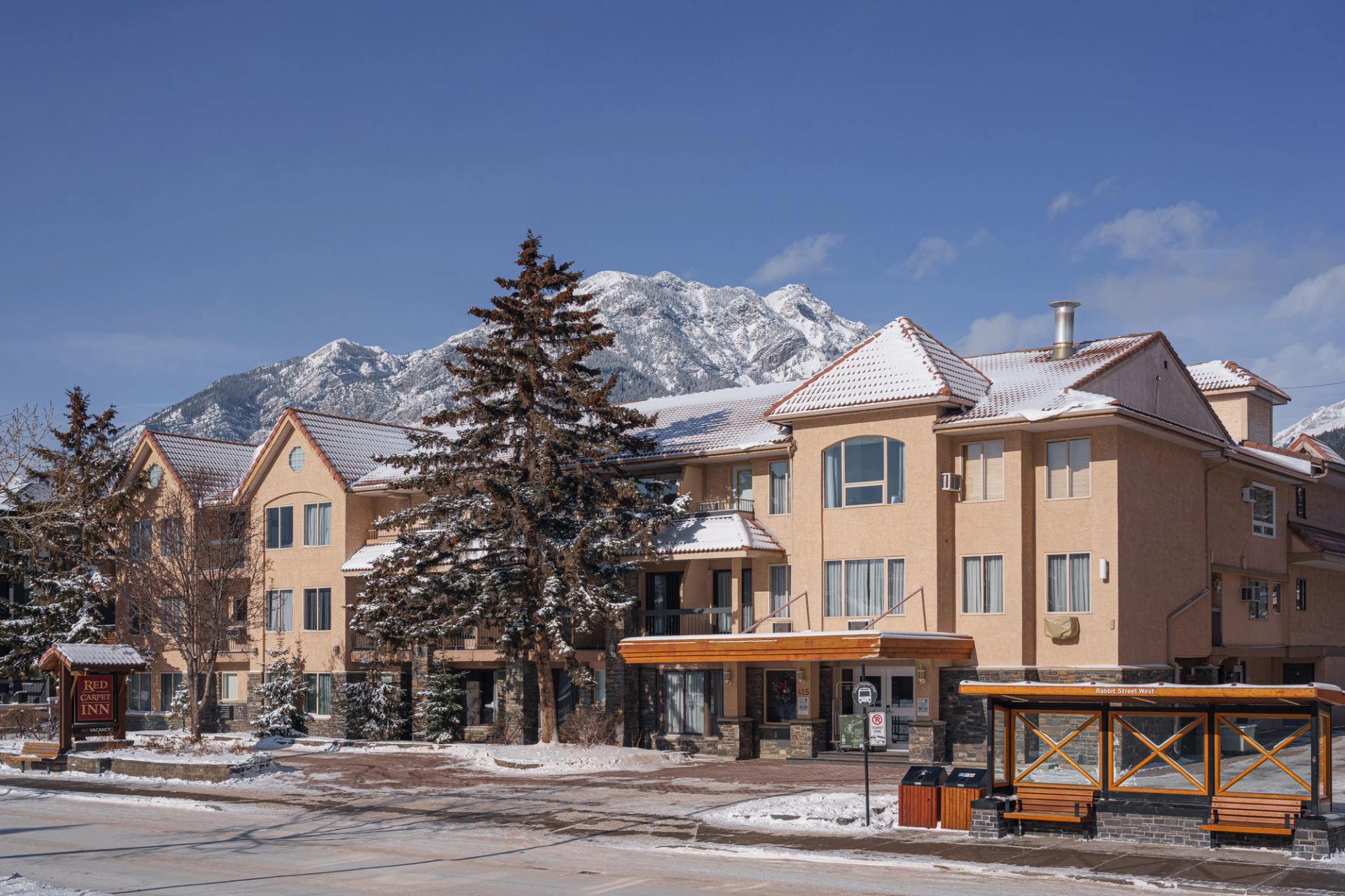 Hotel with a snowy roof, a large tree and a bus stop in front and a large snow-capped mountain.