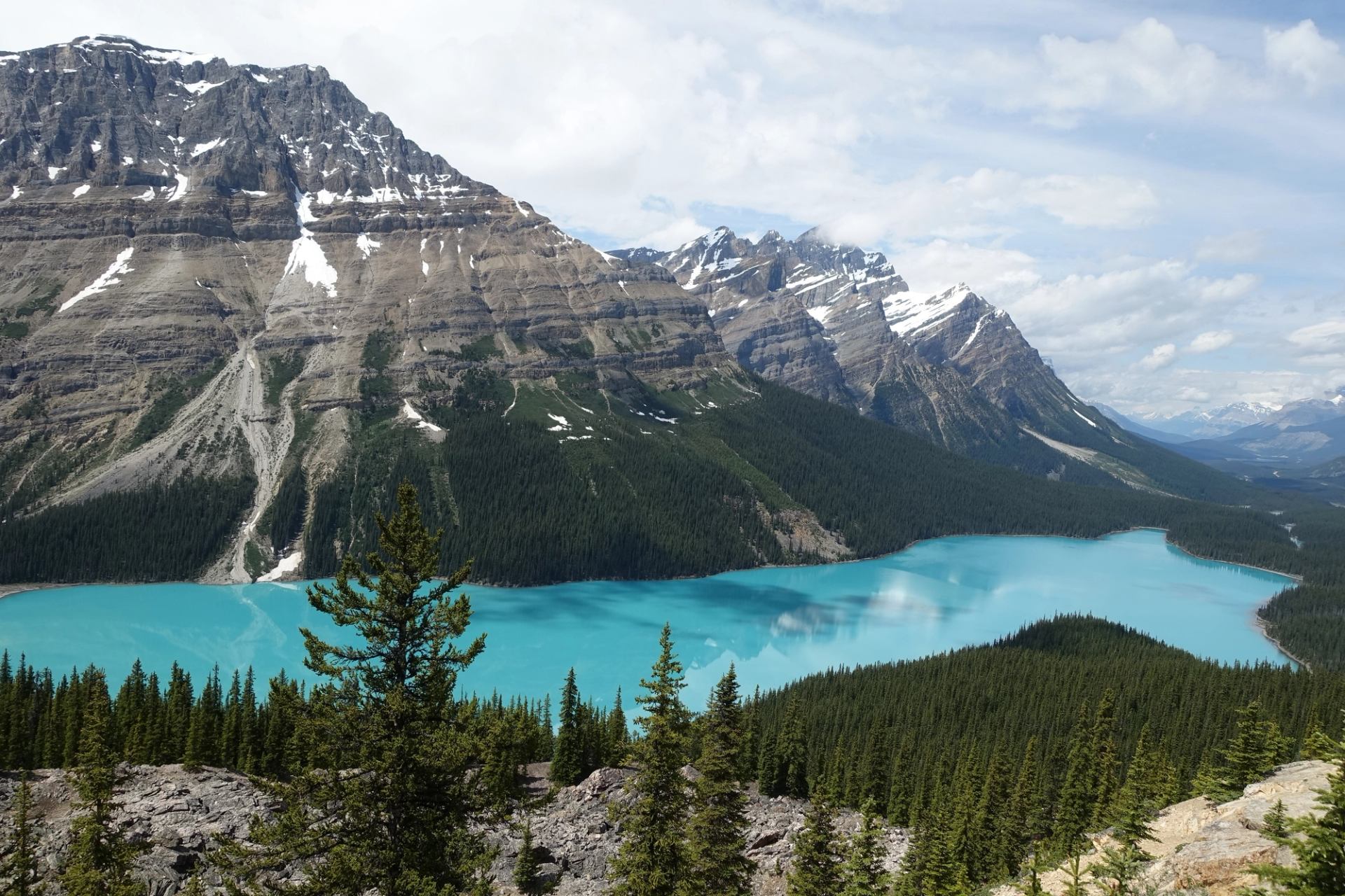 Peyto Lake is a bright glacier fed lake on Icefield parkway famous for its unique wolf-head shape.