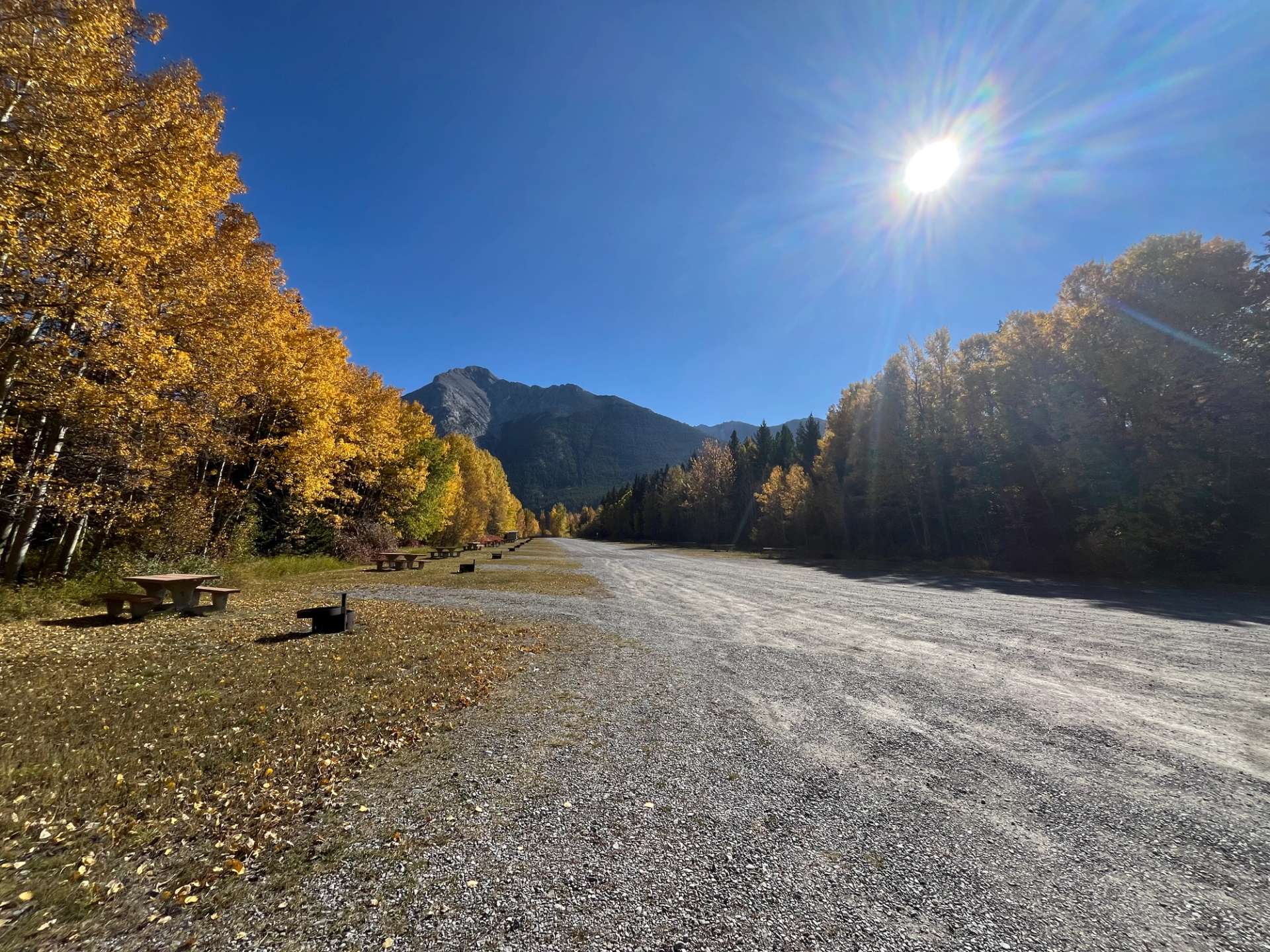 Gravel clearing with picnic tables, yellow-leaved trees, distant mountains and bright sun overhead.
