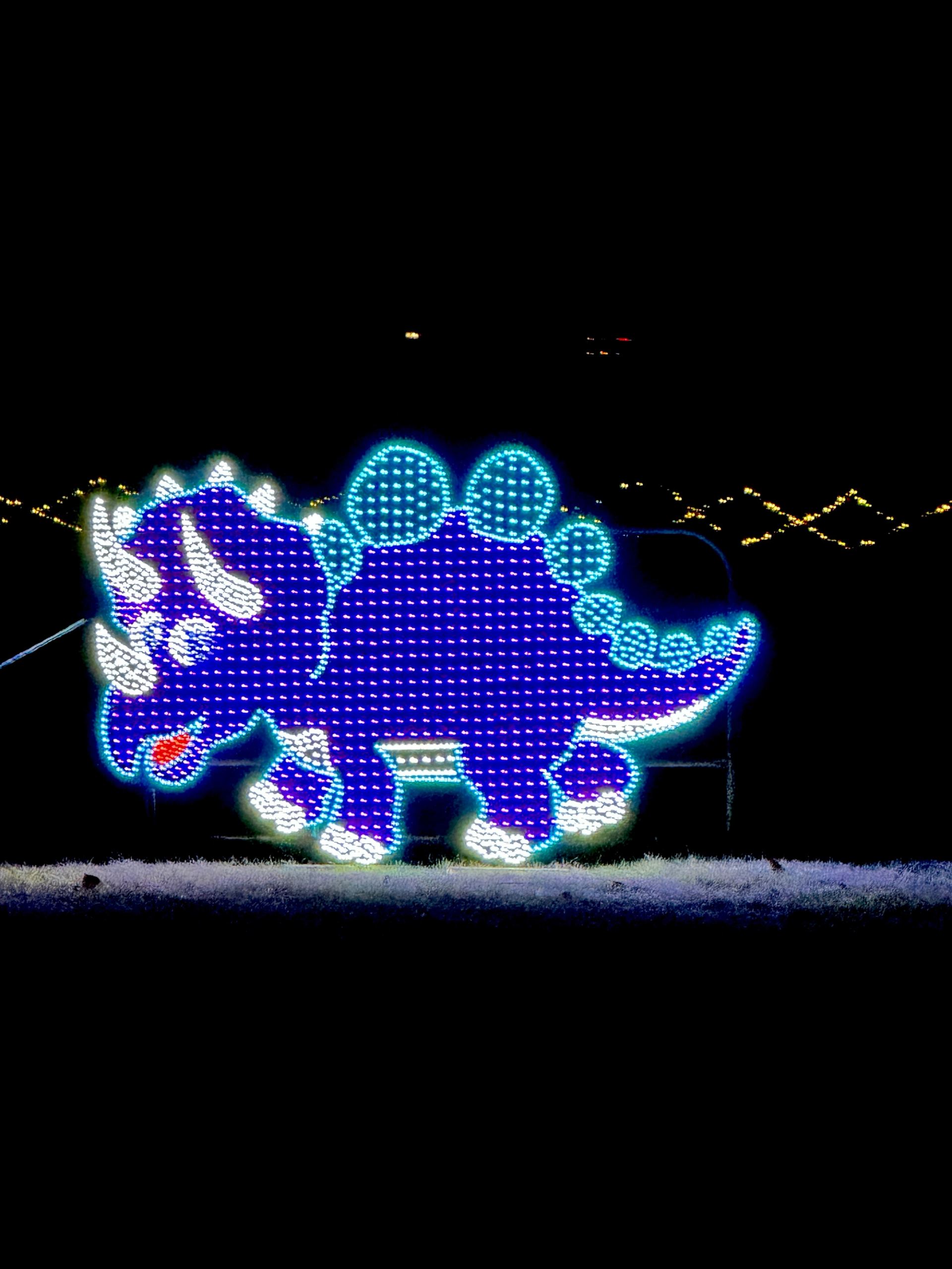 Dinosaur light display.