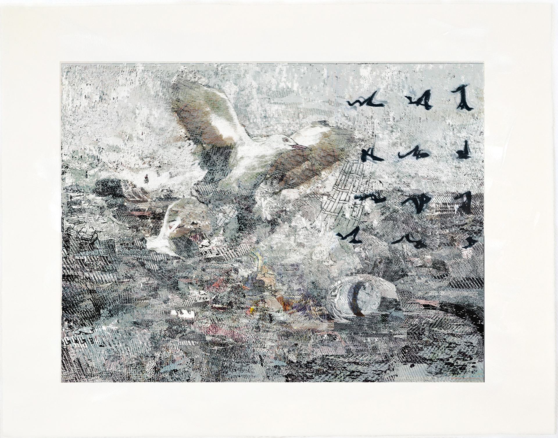 Robin Smith Peck acrylic painting of seagull at the water edge.