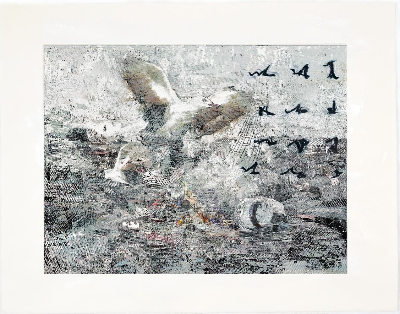 Robin Smith Peck acrylic painting of seagull at the water edge.
