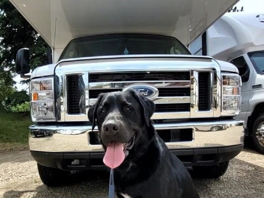 Black dog sitting in front of a parked Ford pickup truck with an open RV door.