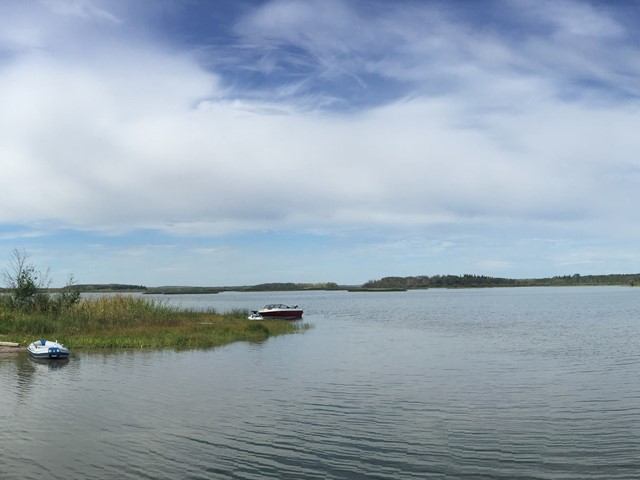 Lake shoreline with boats moored near the water at French Bay Provincial Recreation Area.