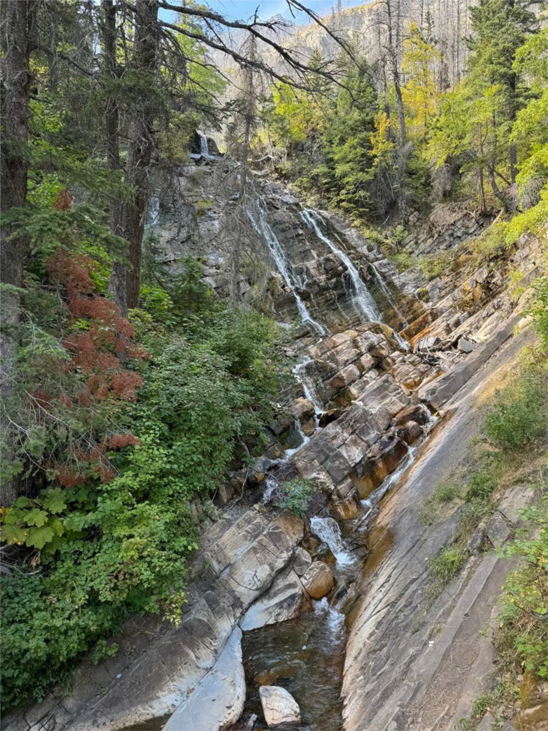 Narrow waterfall flowing down rocky cliffs surrounded by dense green forest.