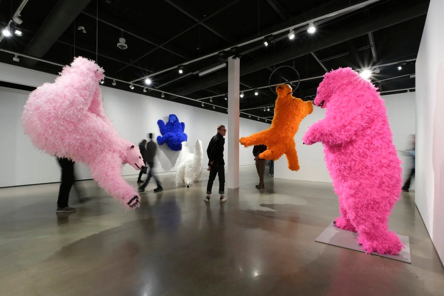 Colorful furry bear sculptures in a modern gallery space.