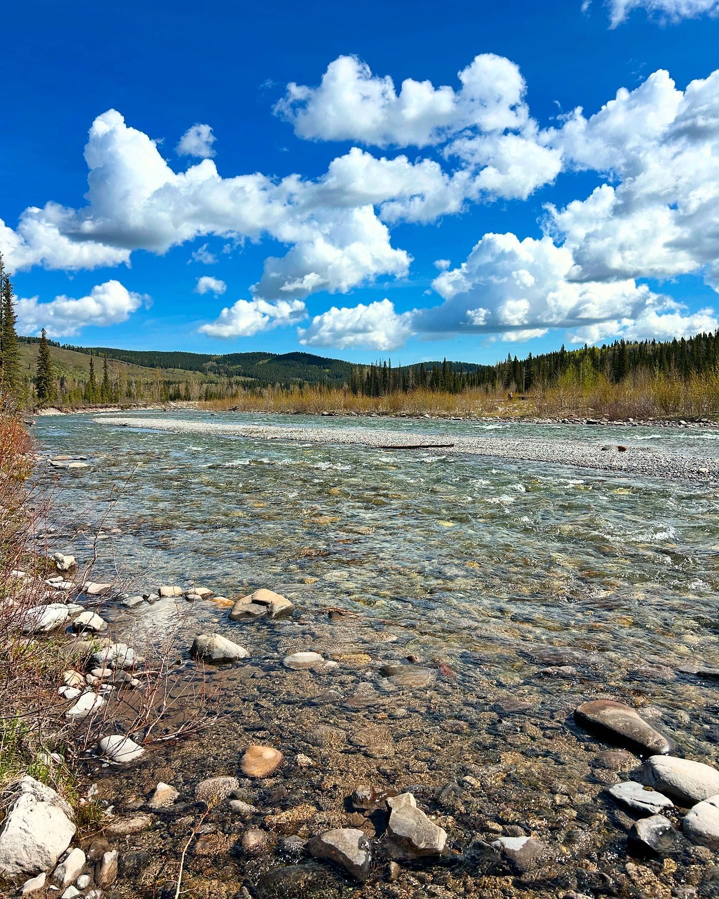 Paddy’s Flat Campground features a clear flowing river with stones, forested hills, and bright blue sky with clouds.