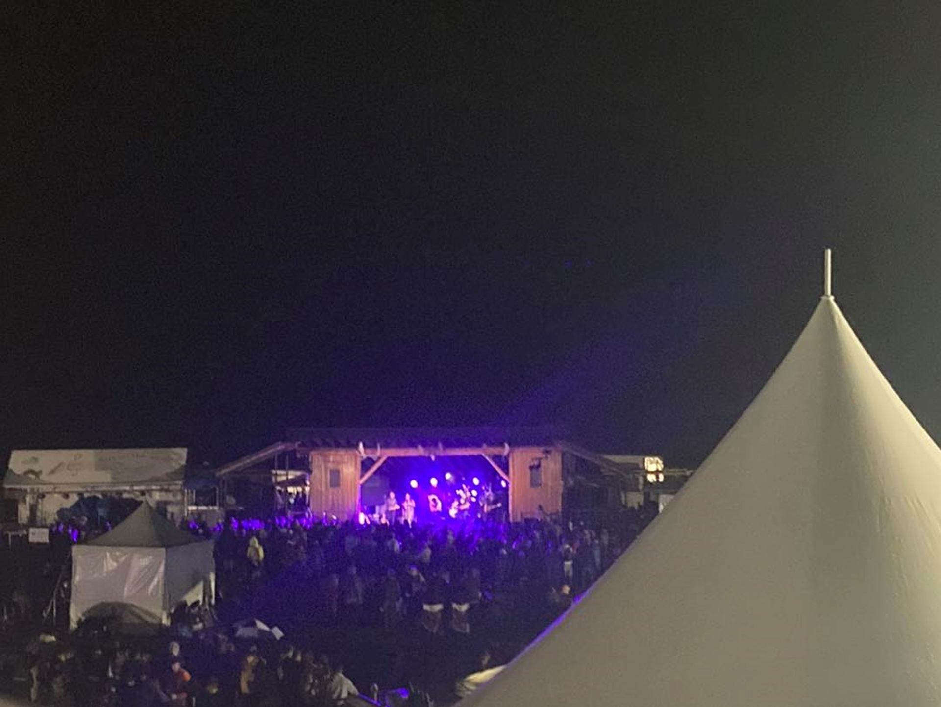 A crowd of concert goers enjoing the festival at night.