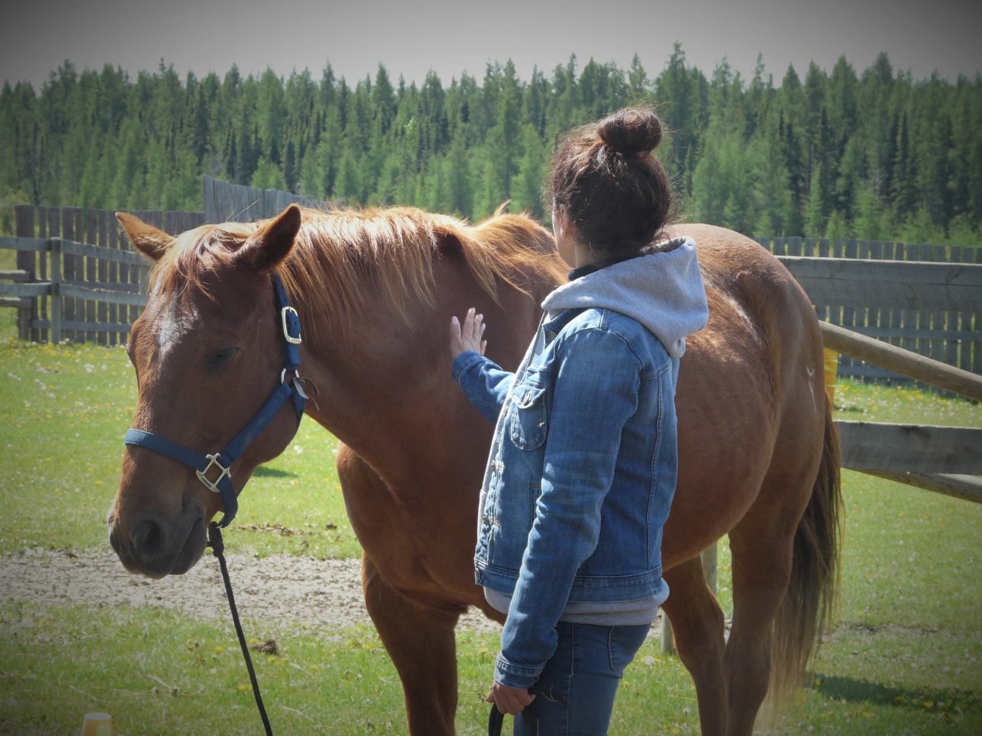 A girl patting down the horse.