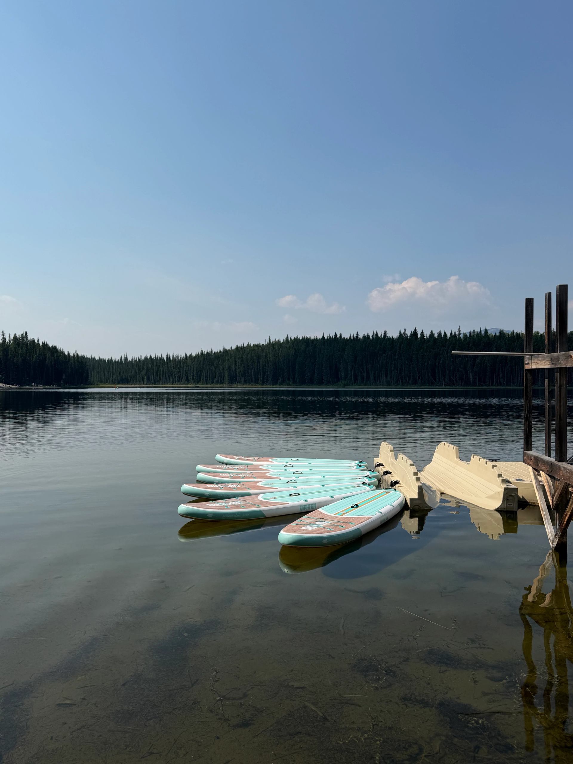 Paddleboards float beside a small dock on a calm lake with forested shoreline.