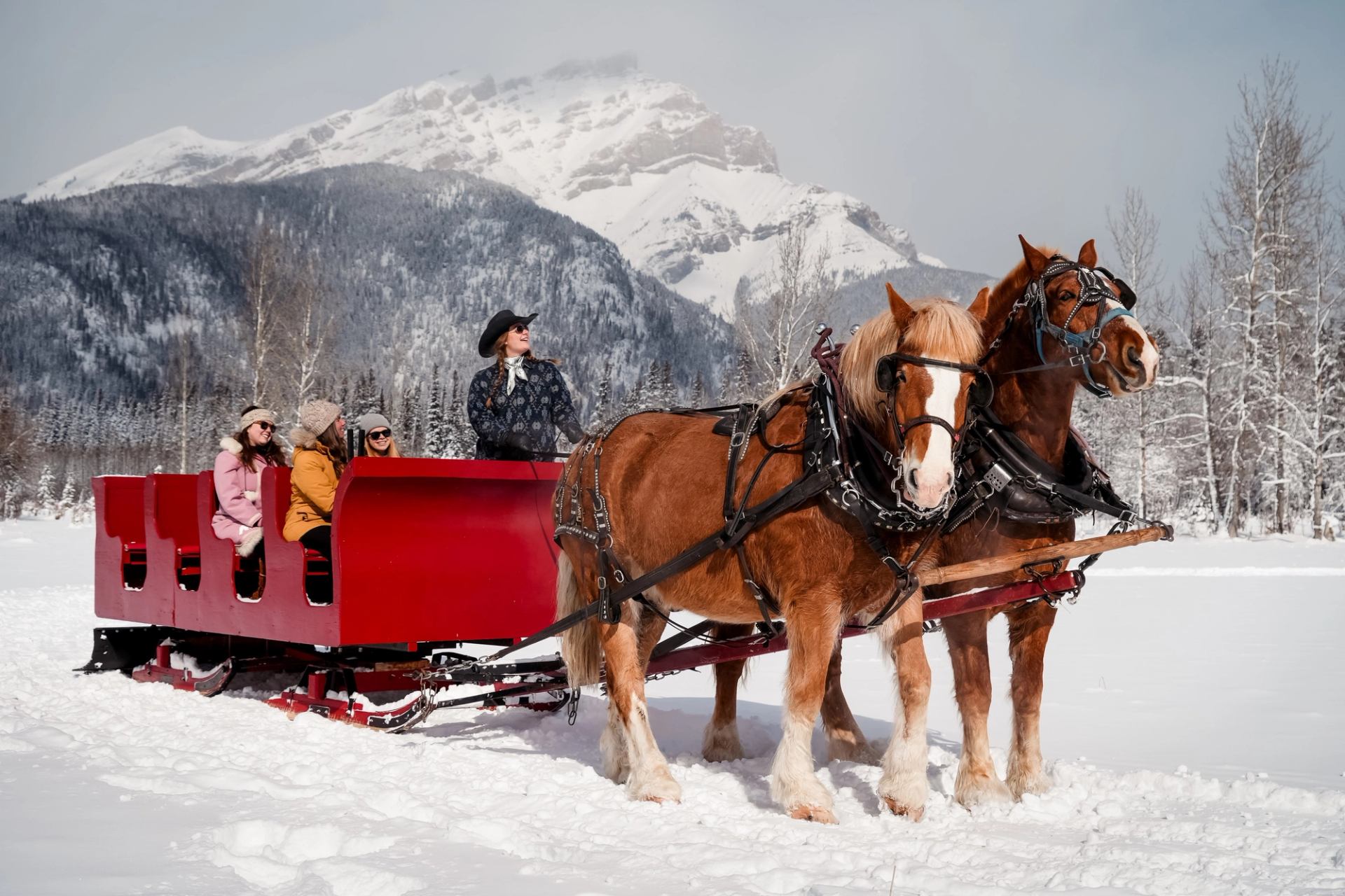 Horse-drawn red sleigh with passengers in snowy Banff mountain landscape.