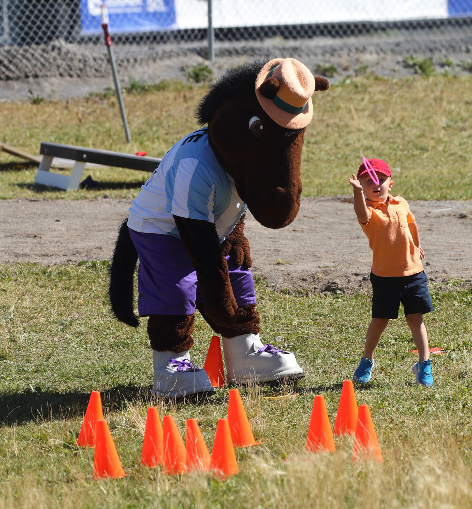 Cornstock & Daschund Dash | Canada's Alberta thumbnail