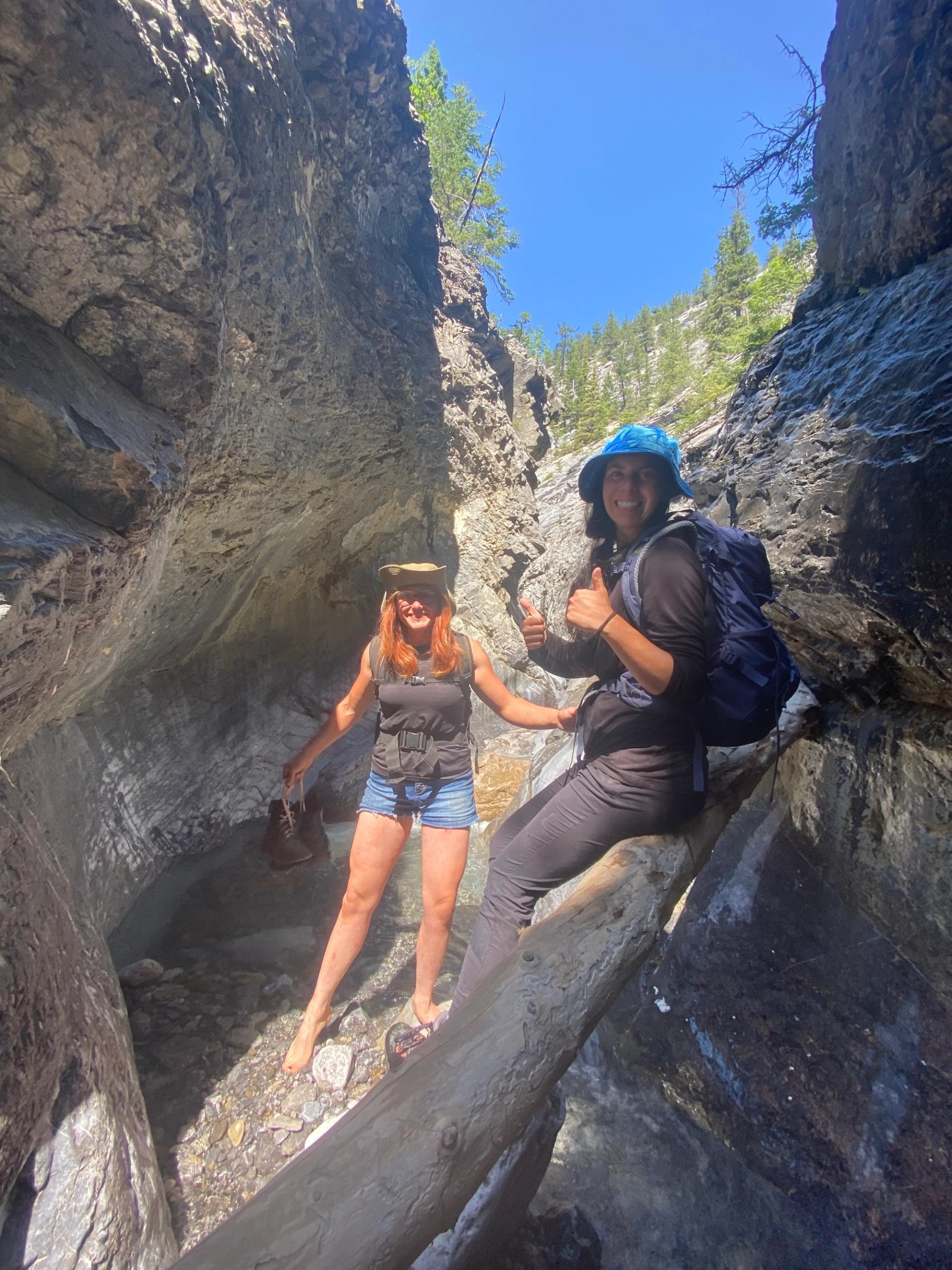 Hikers standing on rocks and log in narrow canyon stream under clear blue sky.