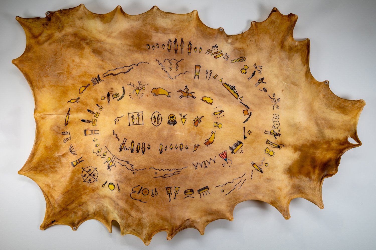 Animal hide with spiral drawings of figures and symbols, representing a Blackfoot winter count.