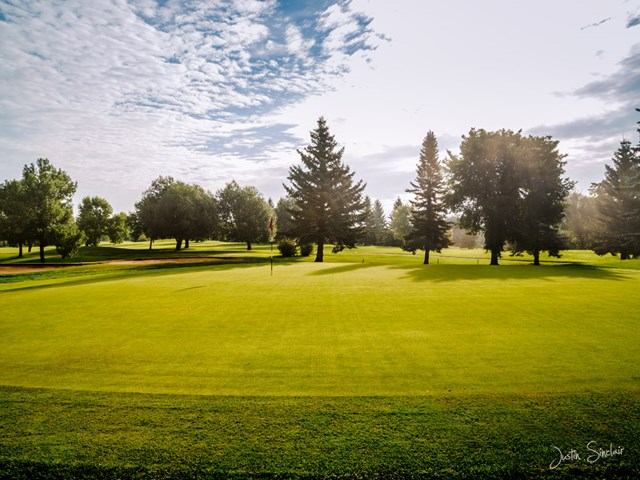 A bright green golf course with a red flagstick, surrounded by trees under a partly cloudy sky.