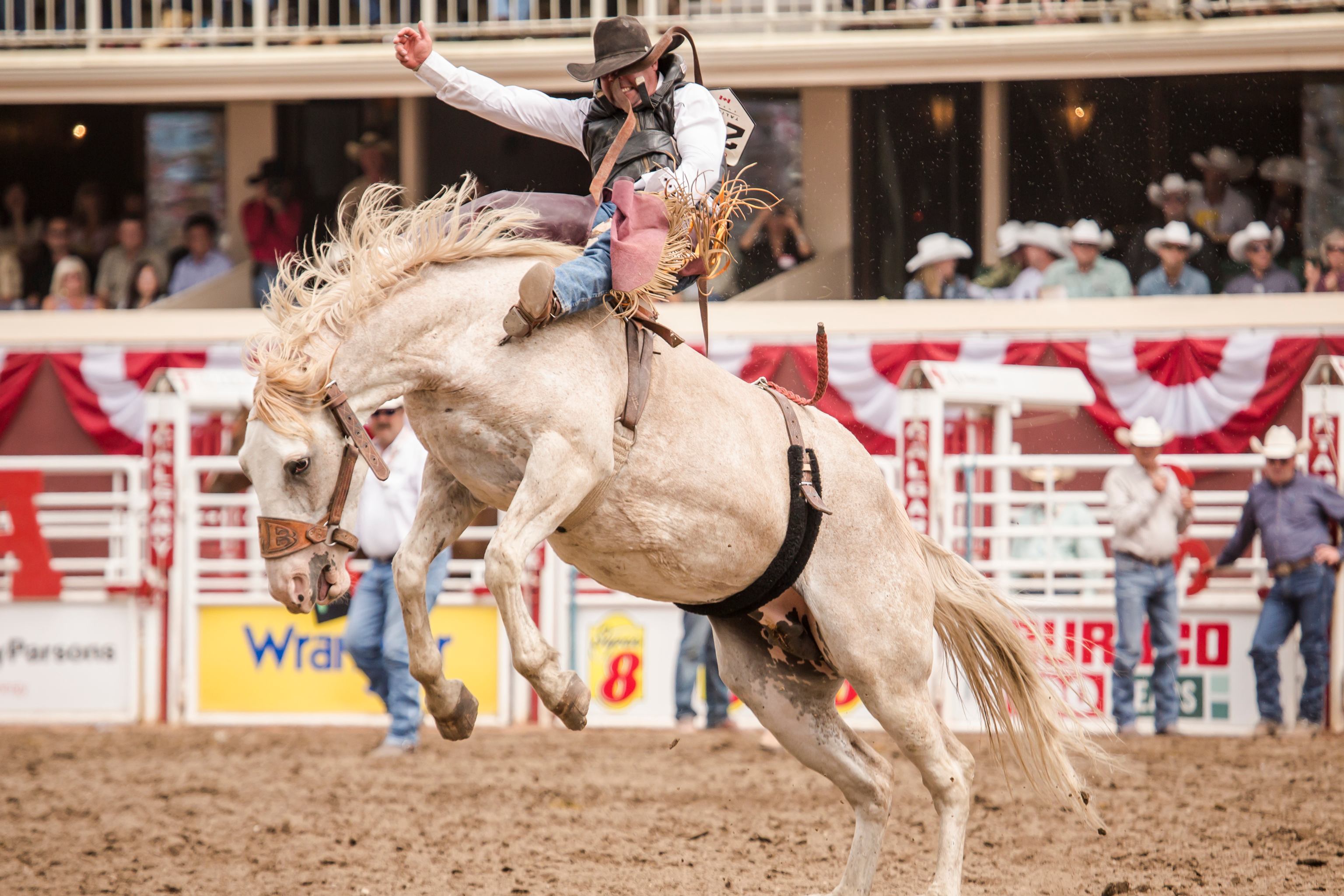 Calgary Stampede First Nations Rodeo & Relay | Alberta Canada